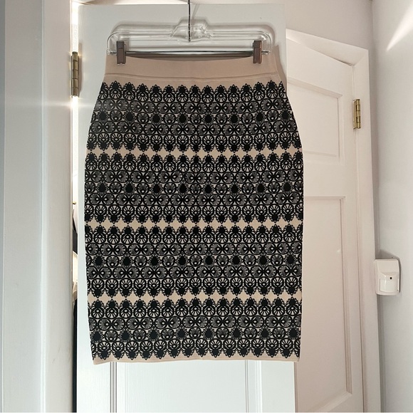 Alexander McQueen Dresses & Skirts - 🖤 Alexander McQueen Designer Black and Pale Pink Pencil Skirt